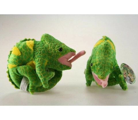 Chameleon