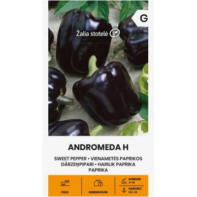 Seklos Пипер черни камби Андромеда F1 Andromeda Н