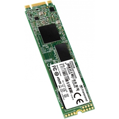 Transcend MTS830S 256GB, TS256GMTS830S