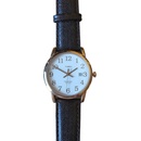 Timex T2P563