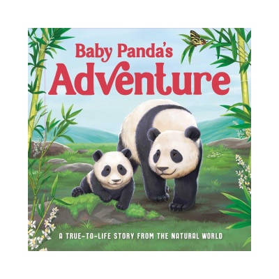 Baby Panda's Adventure