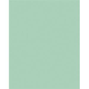 FOLIA Декоративен картон, двустранен, 50x70cm, 220 g, 10 листа, FOLIA, мента 61221025 (6122/10 25)