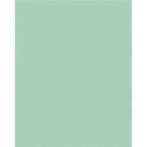 FOLIA Декоративен картон, двустранен, 50x70cm, 220 g, 10 листа, FOLIA, мента 61221025 (6122/10 25)