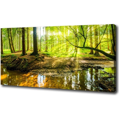 Foto obraz na plátne Rybník v lese 100x50 cm