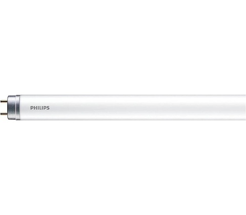 Philips P6648