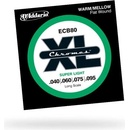DAddario ECB80