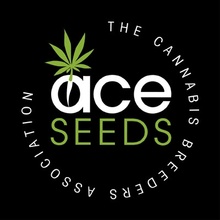 Ace Seeds Super Malawi Haze semena neobsahují THC 1 ks