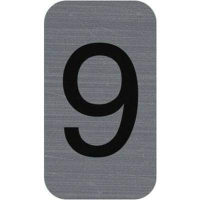 Informačná tabuľka, samolepiaca, 2,5x4,4 cm, hliníkový vzhľad, EXACOMPTA, č. 9