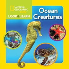 National Geographic Kids Look and Learn: Ocean Creatures National Geographic KidsBoard Books