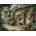 Norimpex - Puzzle Diamant painting: Cozy cottage 30x40cm - 1 - 39 piese