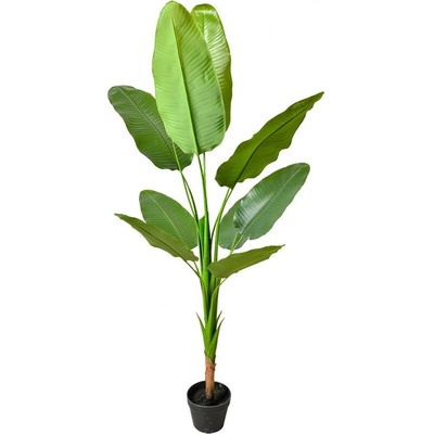 Dekorace zelená umělá rostlina strelitzia v květináči - 35*35*160 cm - Clayre & Eef