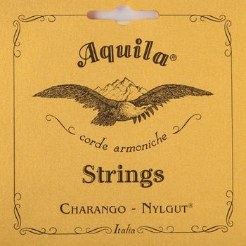 Aquila 1CH