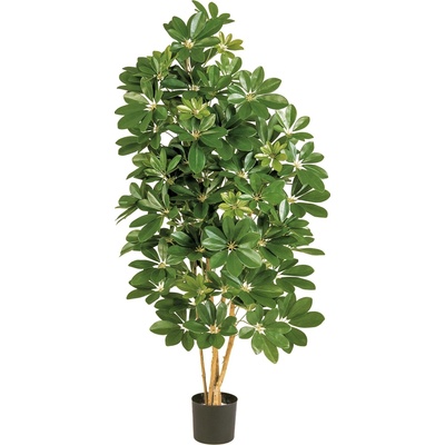 Umělý strom Šeflera přírodní kmeny deluxe zelená, 110cm