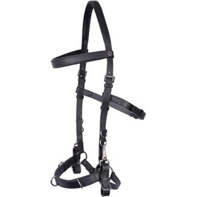 HARRY'S HORSE Lonžovací obnosek černý – Zboží Mobilmania