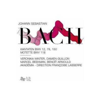 Johann Sebastian Bach - Kantatan BWV 12, 78, 150 Motette BWV 118 CD