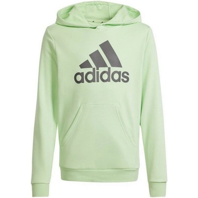 adidas Big Logo Hoodie Jr IS2591