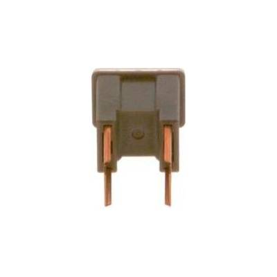 Pojistka BOSCH 1 987 529 072