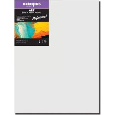 Octopus Professional malířské plátno 350 g 40 x 60 cm