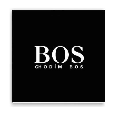 Fotoobraz 40x40 cm Bos