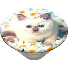 PopSockets PopTop Gen.2, Purr-fect Flower, koťátko v kopretinách, výměnný vršek