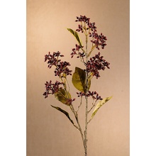 DRY VIBURNUM TINUS 58 cm vínová 58 cm