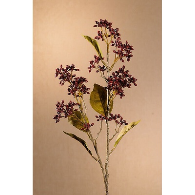 DRY VIBURNUM TINUS 58 cm vínová 58 cm