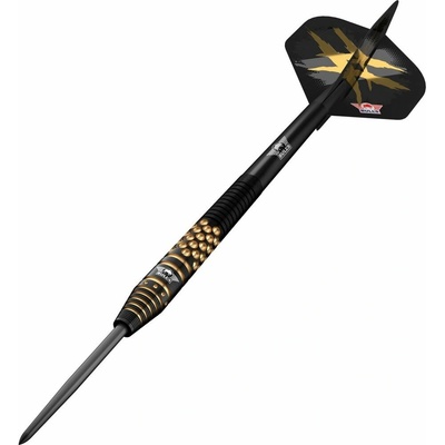 steel Bull's Richard Veenstra E2 23g 90% wolfram