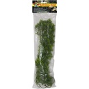 Zoo Med Borneo Star L