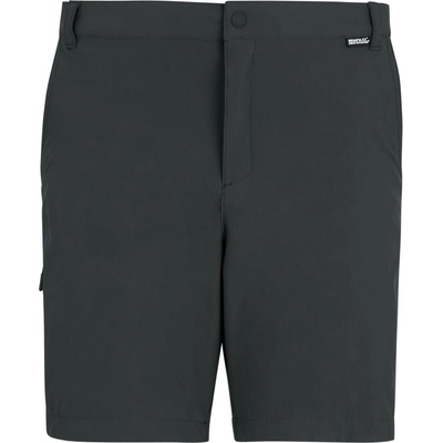 Regatta Anti-Insect Travel Light Shorts šedá