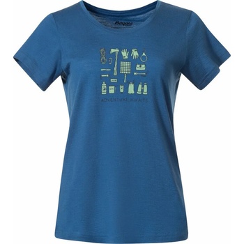 Bergans Graphic Wool Tee Women North Sea Blue/Jade Green/Navy Blue XS Тениска (6879-25440-XS)