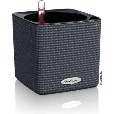 Lechuza Samozavlažovací květináč Cube Color, 14 cm, antracitová