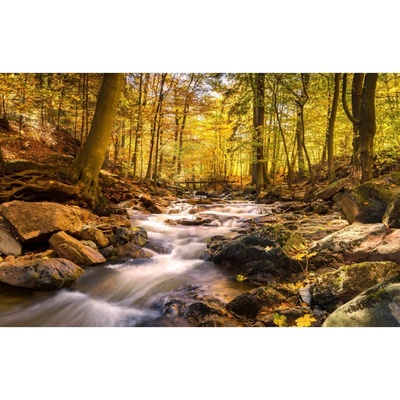Bondecor Obraz, tlačené plátno Voda 70 x 110 cm