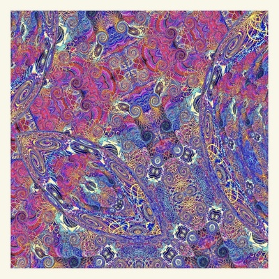 Carlos Niño & Friends - PLACENTA Vinyl