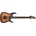 Ibanez RGA42FM-DEF