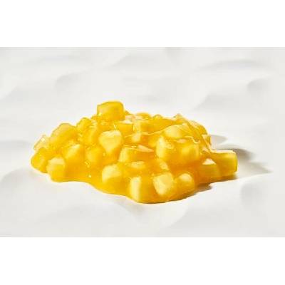 Zeelandia Ovocná náplň Fruitful Mango 2,7 kg