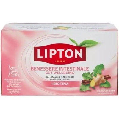 Lipton Čaj střeva Biotin 17 x 1,9 g