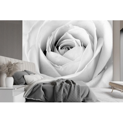 Gario Fototapeta Biela ruža, detailný záber na púčik Materiál: Vliesová, rozmery 200 x 140 cm