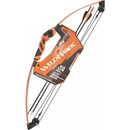 Barnett WildHawk