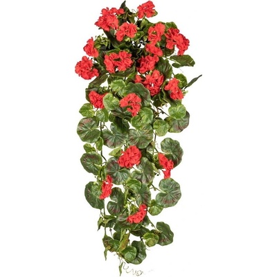 Geránium popínavé červené vonkajšie, 80cm