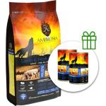 AMBROSIA Adult All Breeds Lamb & Fresh Salmon 12 кг + 2 консерви безплатно