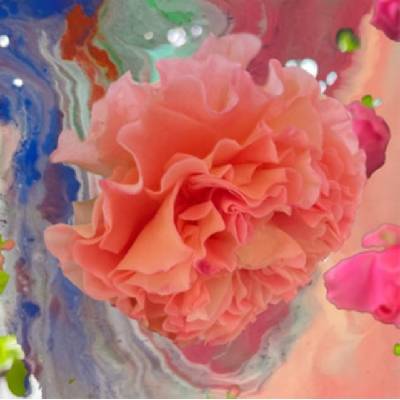 Heller Tag - Conic Rose CD