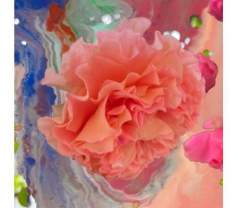 Heller Tag - Conic Rose CD