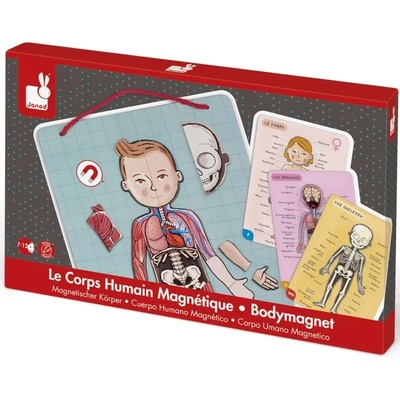 Janod Детска магнитна игра Janod - Анатомия на човешкото тяло (J05491)