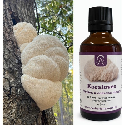 Herbarium Projekt Koralovec Hericium výživa a ochrana mozgu tinktúra 50 ml
