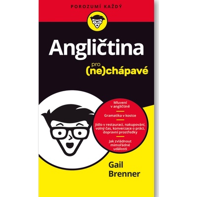 Angličtina pro ne chápavé