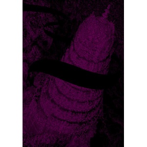 La Passe-miroir | Dabos (ISBN: 9782075081894)