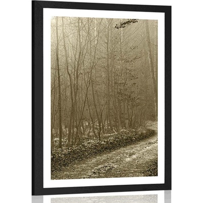 Plakát s paspartou sépiová cestička do lesa - 40x60 silver