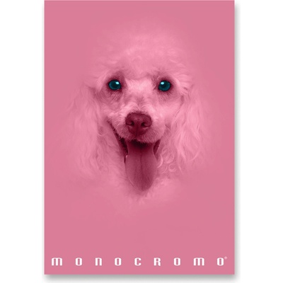 Pigna Školní sešit Monocromo Pink A4 linkovaný