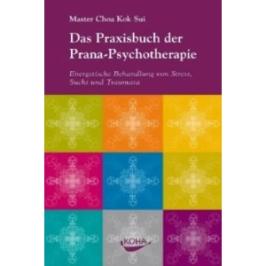 Das Praxisbuch der Pranapsychotherapie (2009)