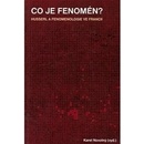 Co je fenomén?
